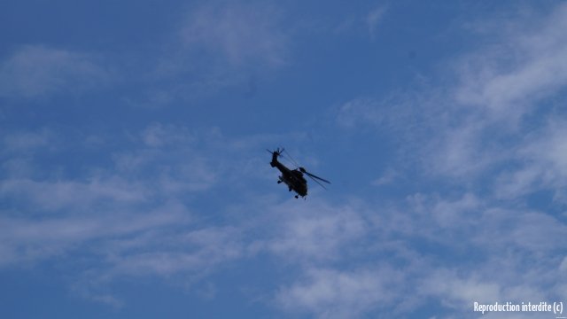 DSC08380